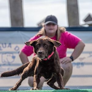 Meet your Posher, Brianna